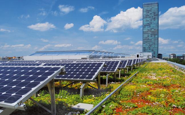 Sedum roof with photovoltaics